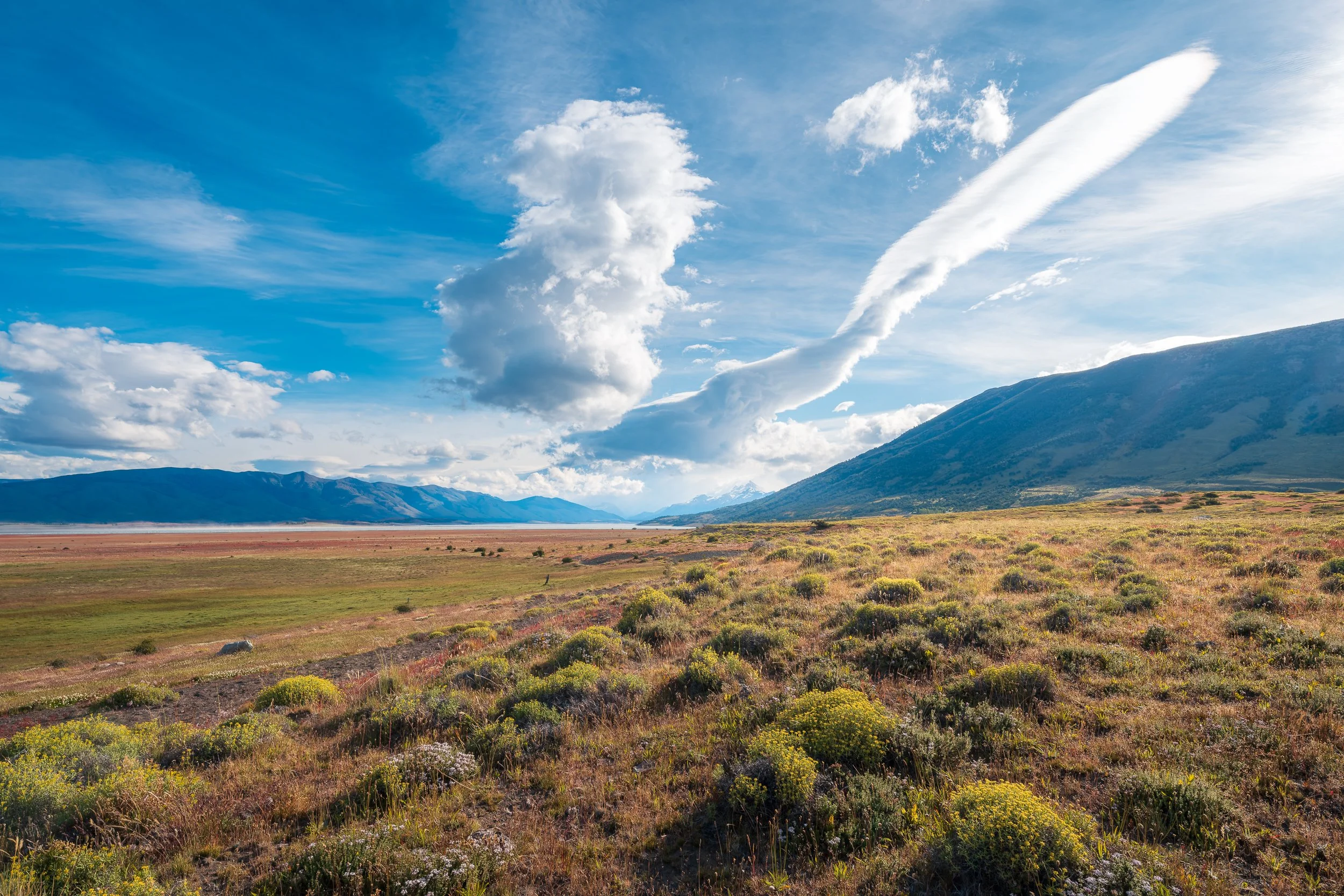 RJ_251226_6447-DxO_DeepPRIME 3.jpg