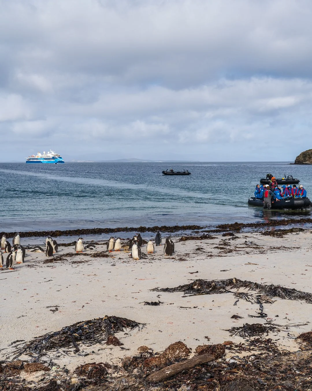 Reaching the Falklands: A Journey to the Remote South with @albatrosexpeditions. #falkland #islasmalvinas #penguin #southatlantic #southamerica #bocklet
#iveco
#ivecodaily4x4
#daily4x4
#customcamper
#overland
#overlander
#offroad
#outdoor
#roadtrip
#