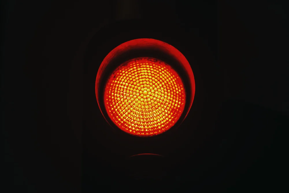 Lot Bible 2021 Andrew Forrest