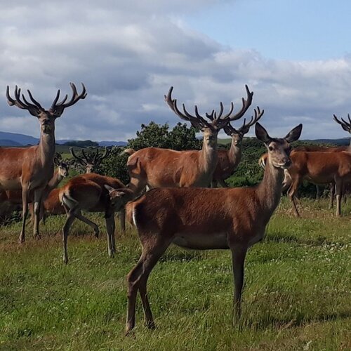 'Hill To Fork' Wednesday December 2nd 9.30 - 17.00