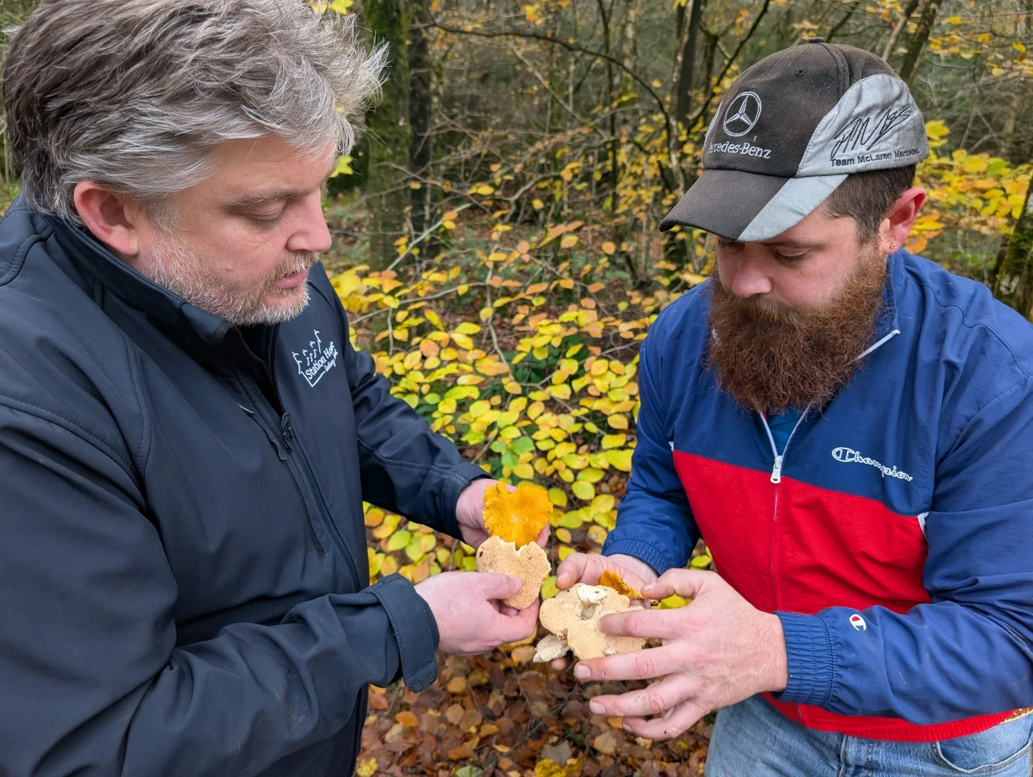 FORAGING FULL DAY SATURDAY 25TH SEPTEMBER 2027 10.00 - 16.00. FULL DAY £95