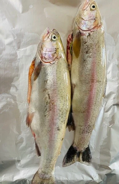FISH COOKERY FULL DAY THURSDAY 27TH MARCH 2025 10.00 - 17.00. DEMO £29 / FULL DAY £129