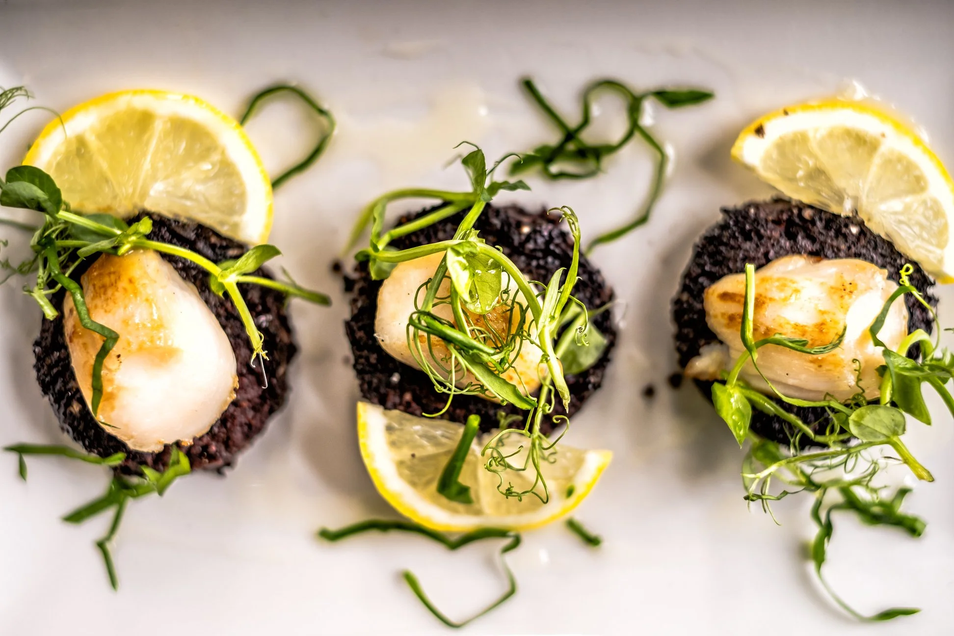 HAND DIVED FRESH SCOTTISH SCALLOPS HALF DAY SATURDAY 27th JUNE 2026 14.00 - 17.00 £65