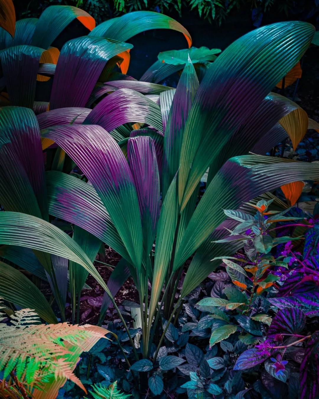 To flourish without light 🌱