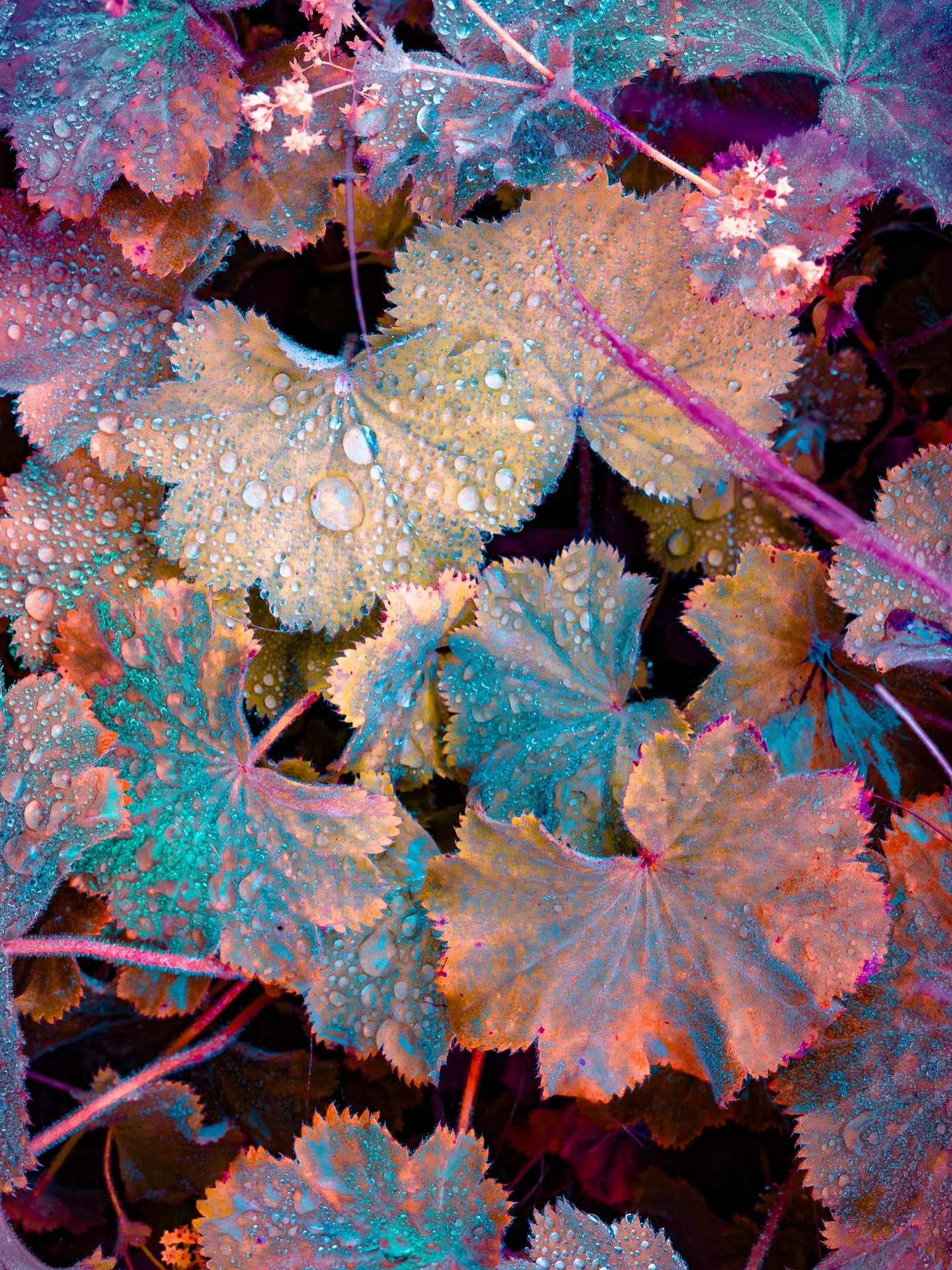 Colour potential is the first thing I look for when I am choosing my raw photos to work on. I am mostly accentuating and pushing what is already there rather than introducing something completely new.
