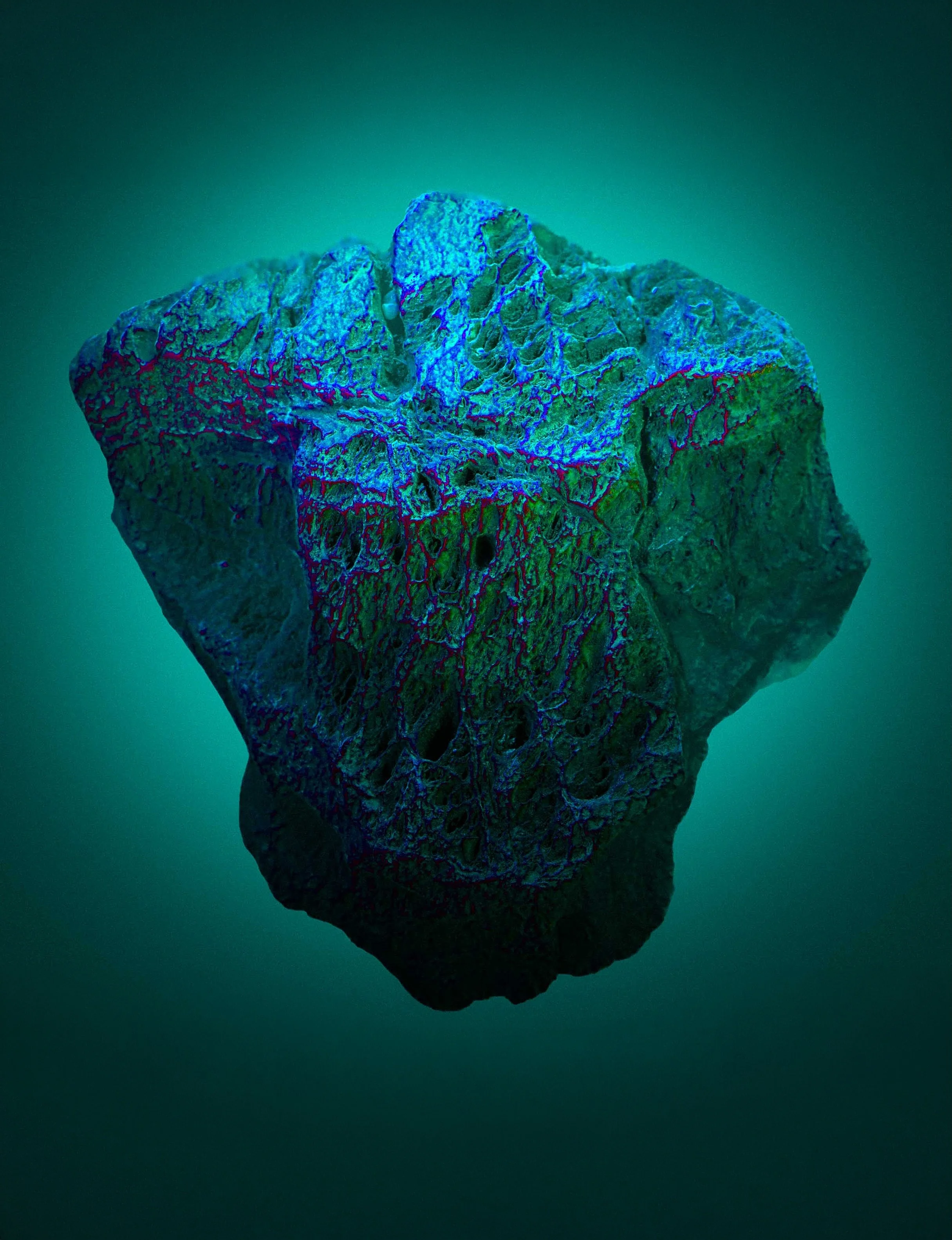 These colour experiments were created using depth, roughness and fast maps captured on a METIS scanner at @thelogicalchoicestudio - Used as masks for adjustment layers in Photoshop, they produced some precise and unexpected results.