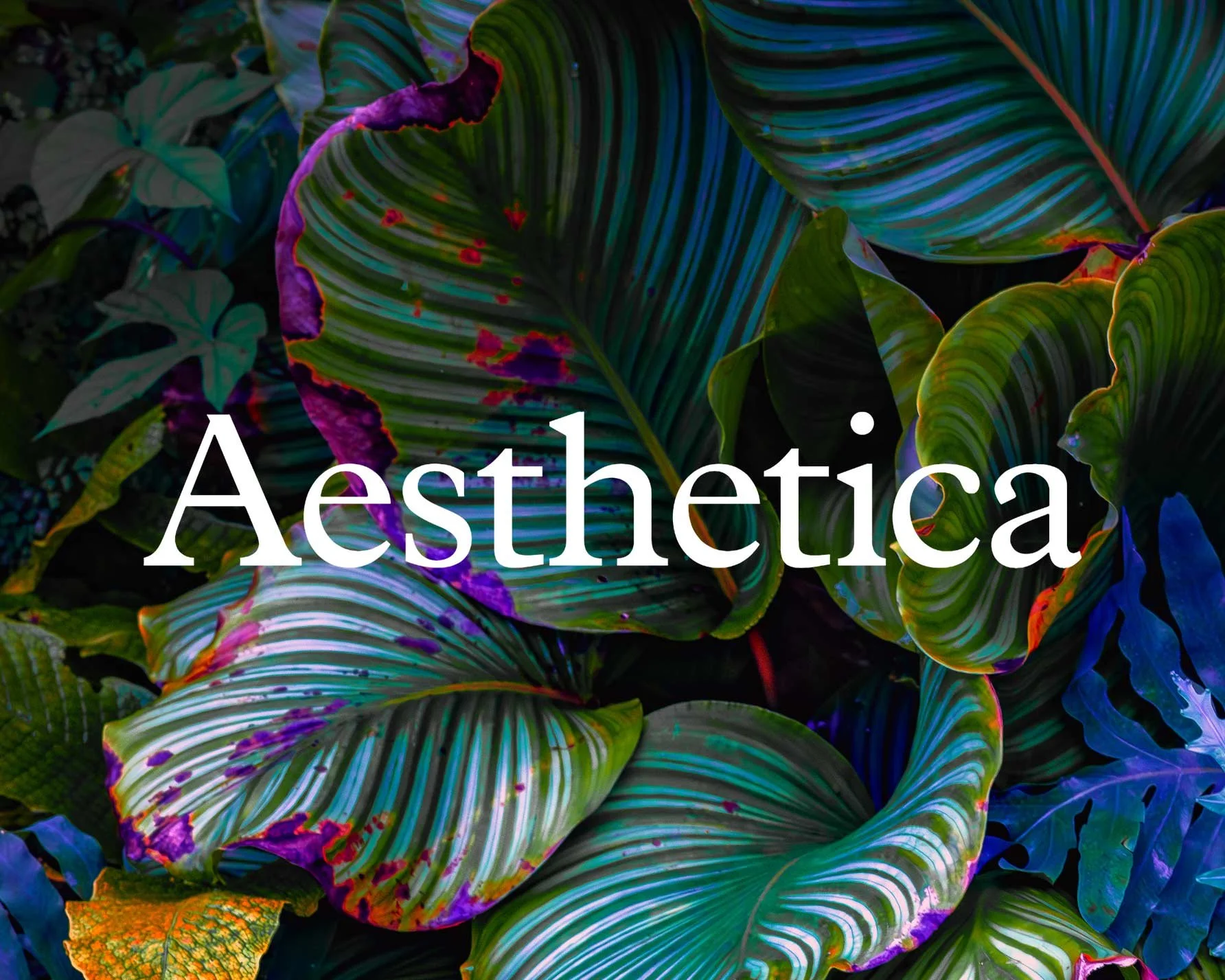 Botanical Photography Featured in Aesthetica Magazine