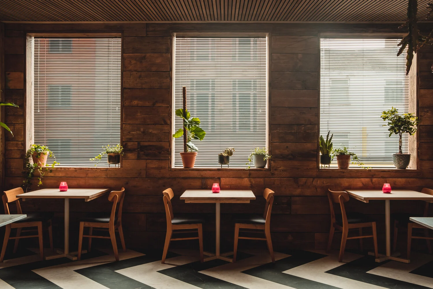 Lost Cat Screen RES-34.jpg