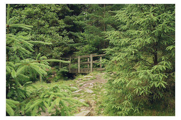 Bridge 12x8 copy.jpg