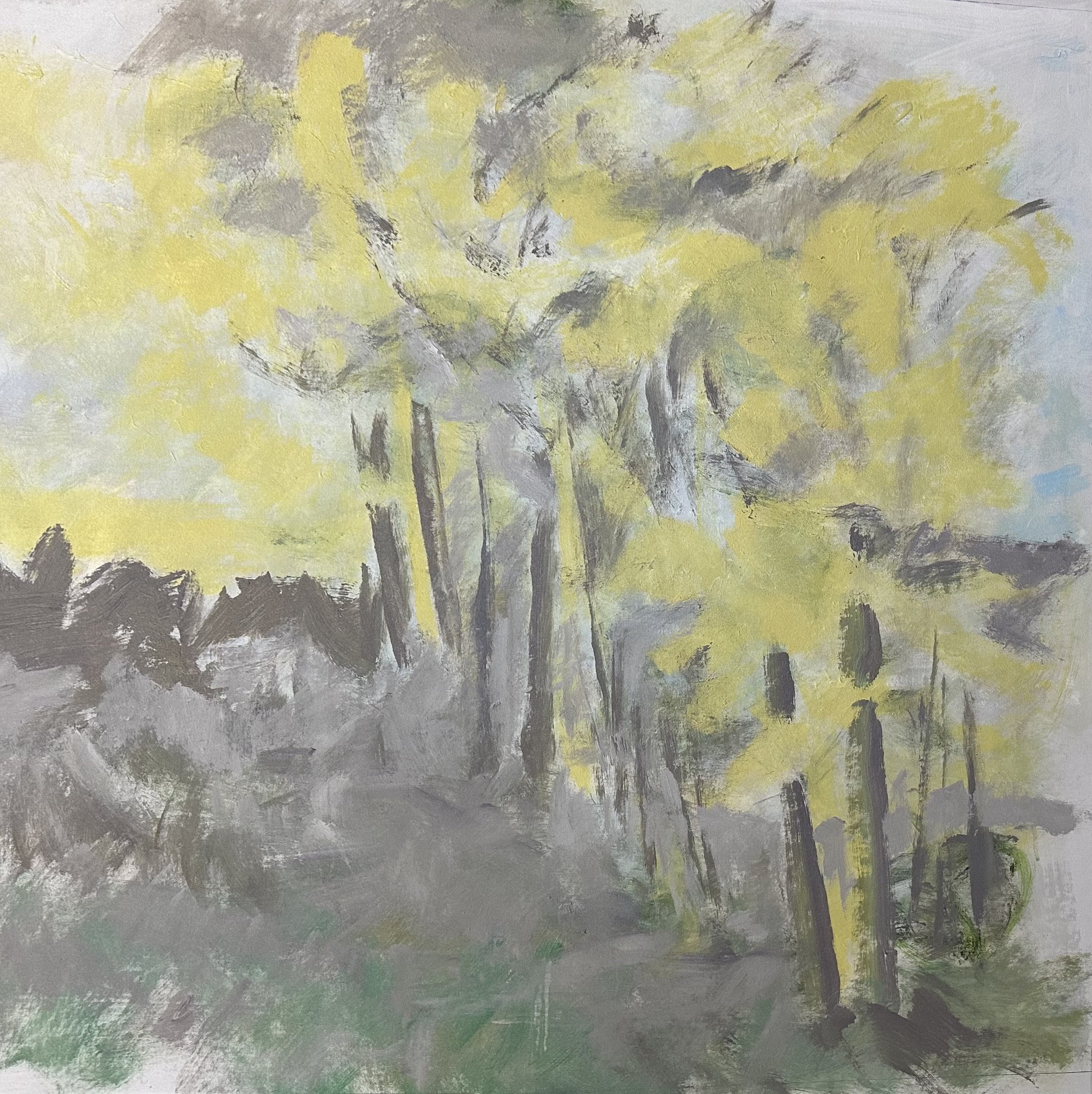 tall aspens | 40x40 | acrylic | 2023 | $3000