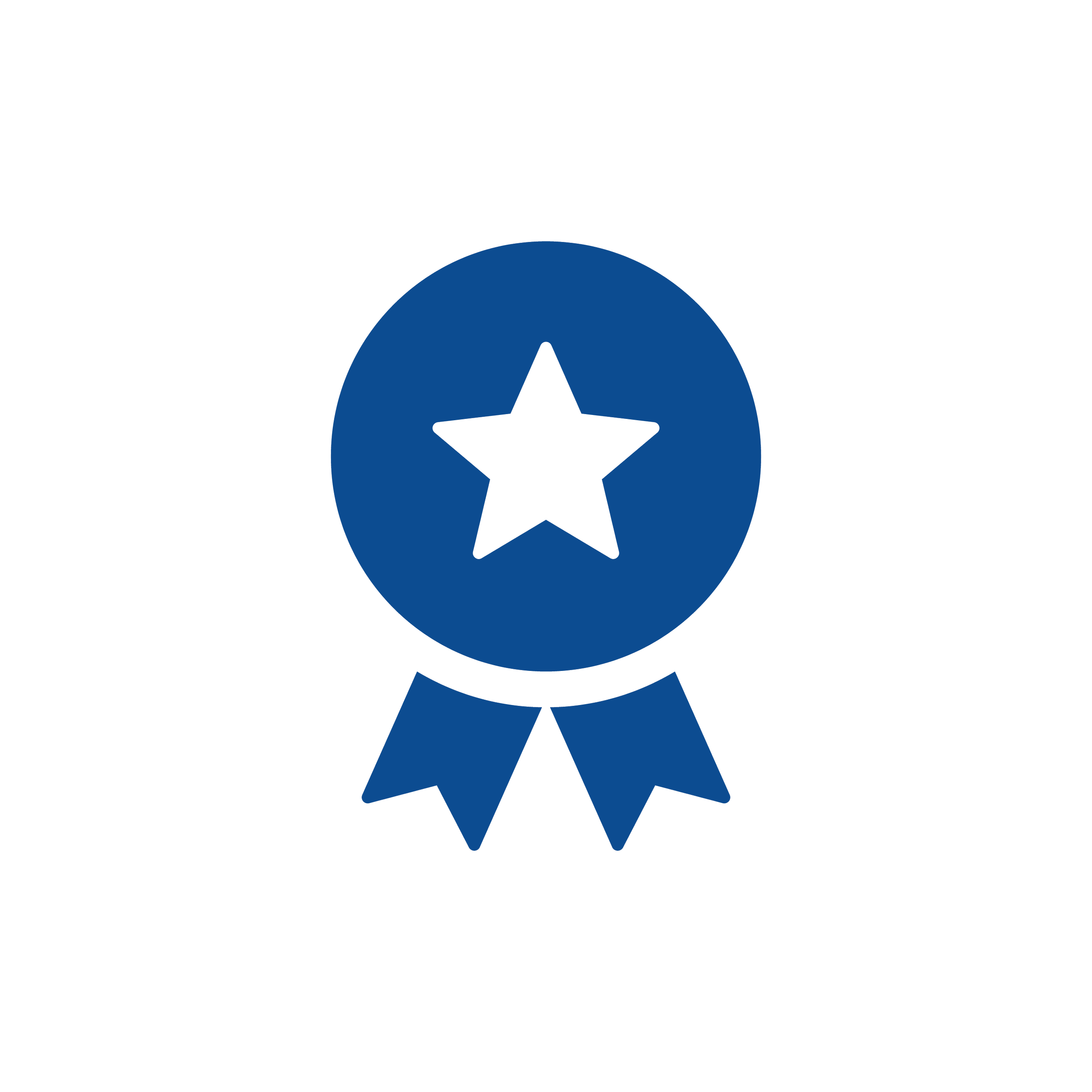 Blue award ribbon with a black star in the center and two ribbon tails.