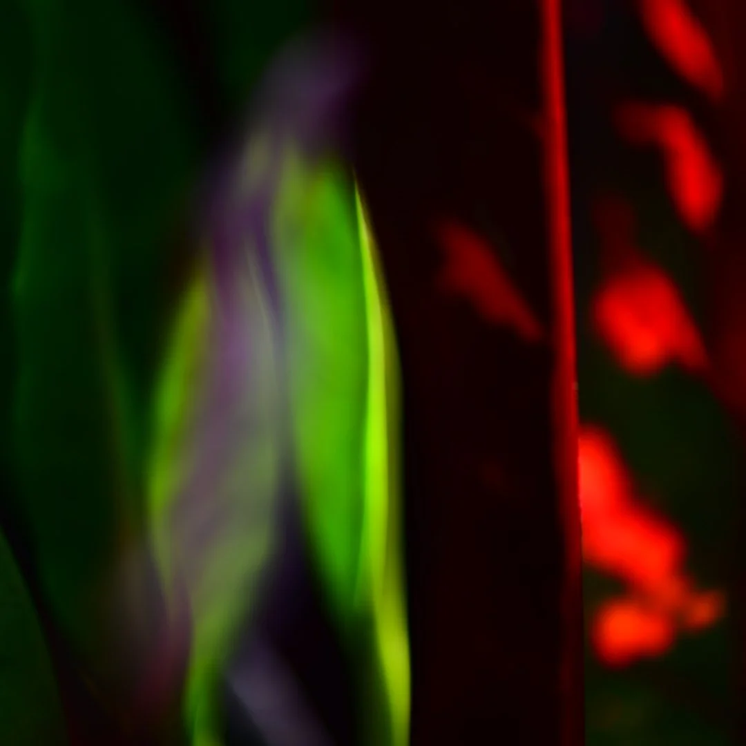 DSC_1686.JPG