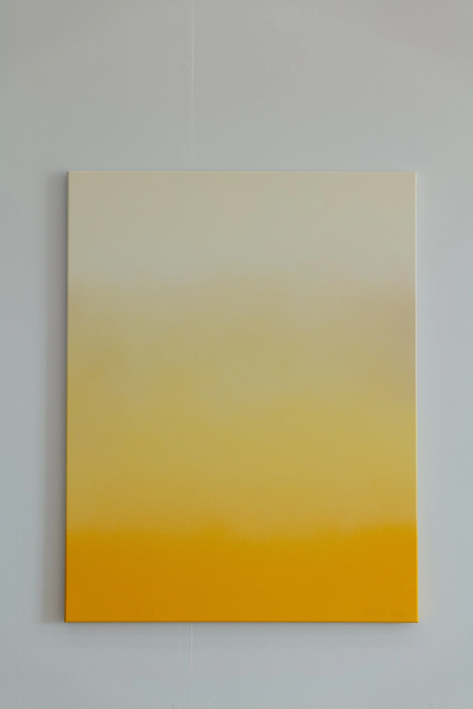 HAZY YELLOW CANVAS