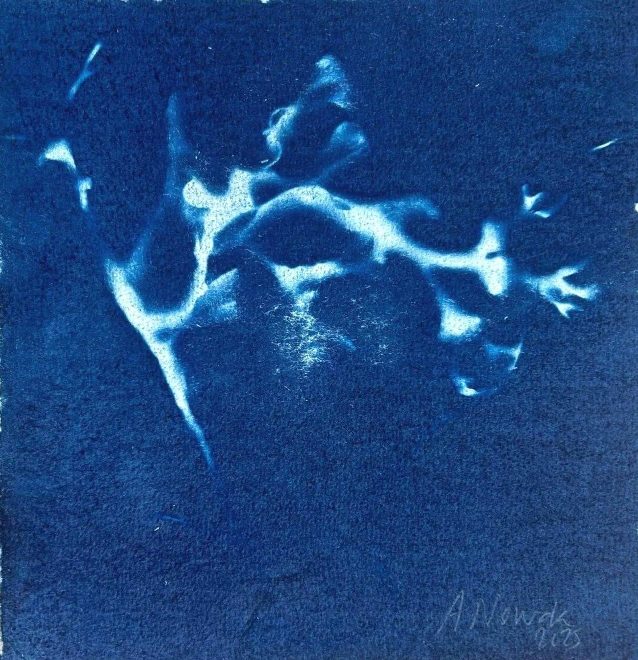 b5742b3e-13ae-436e-a35c-661998e944af.jpg