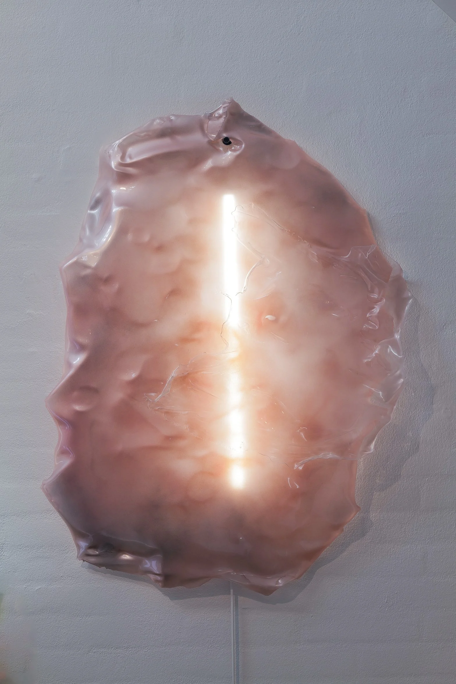 Plastic Fantastic Light rose