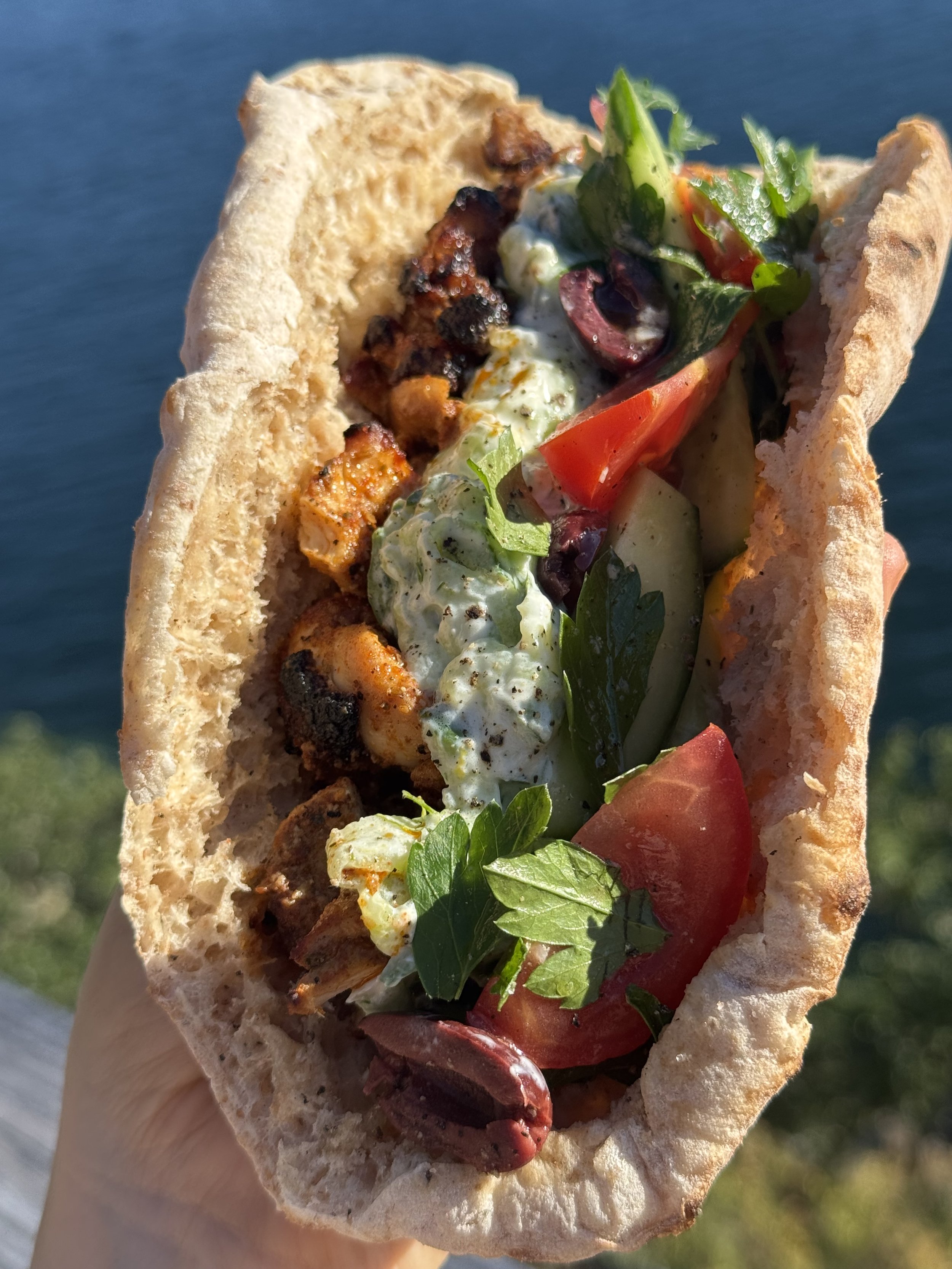 Haan and Adina's Pita Party