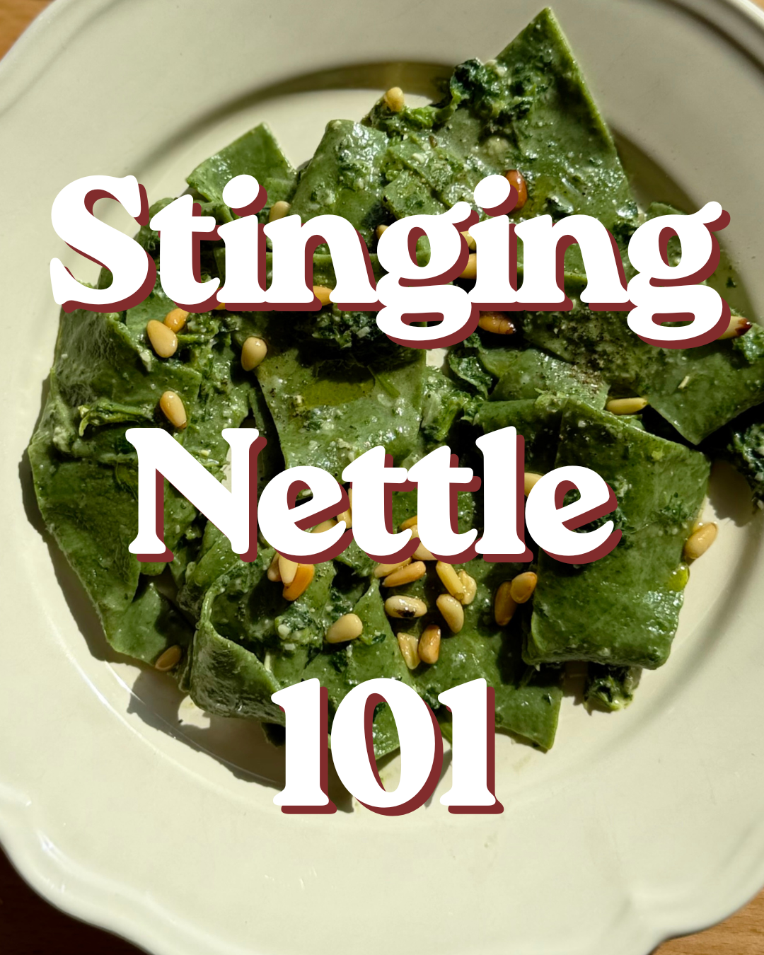 Stinging Nettle 101.png