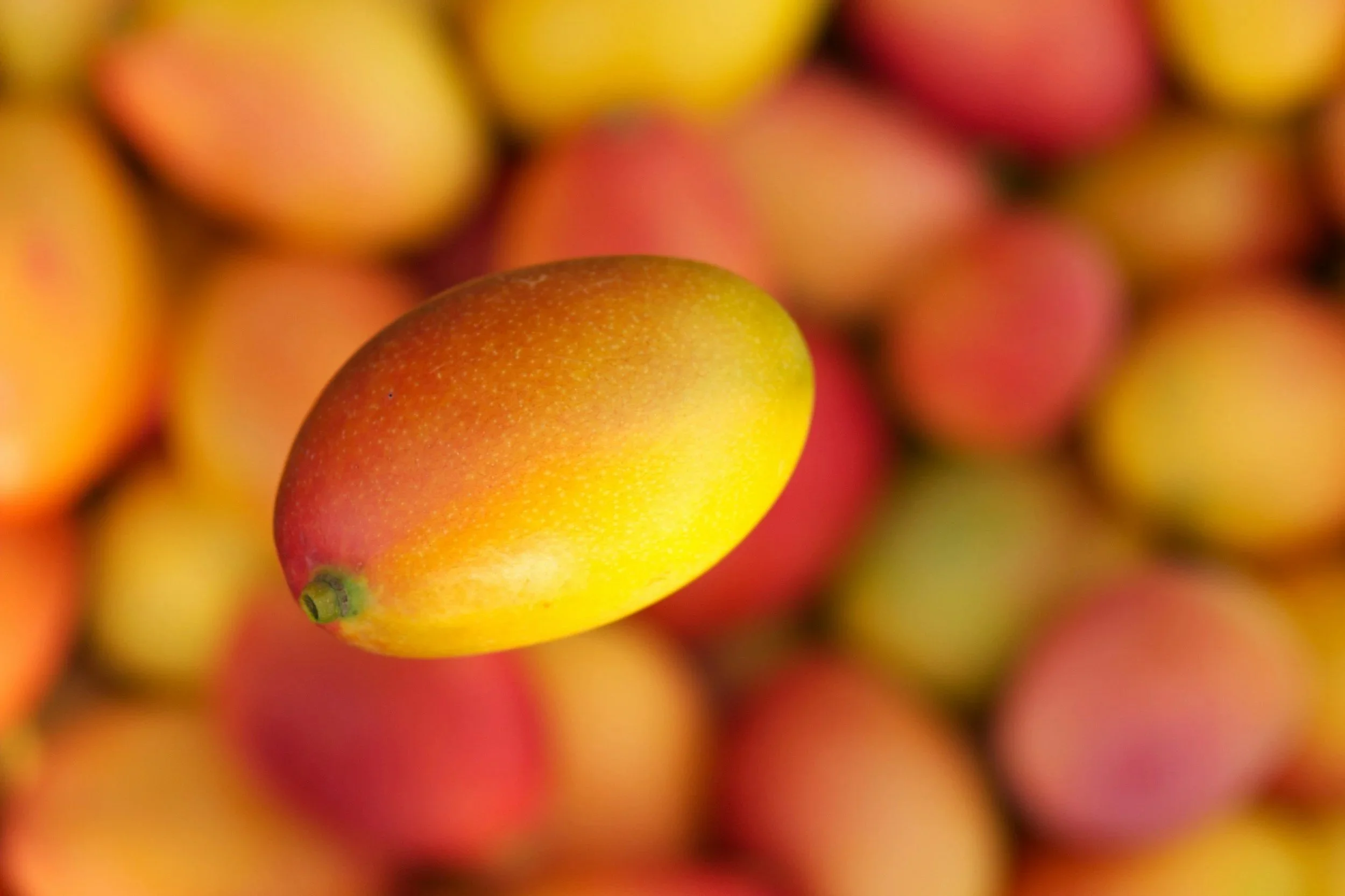 unsplash-image-UKIIa2vcySI.jpg