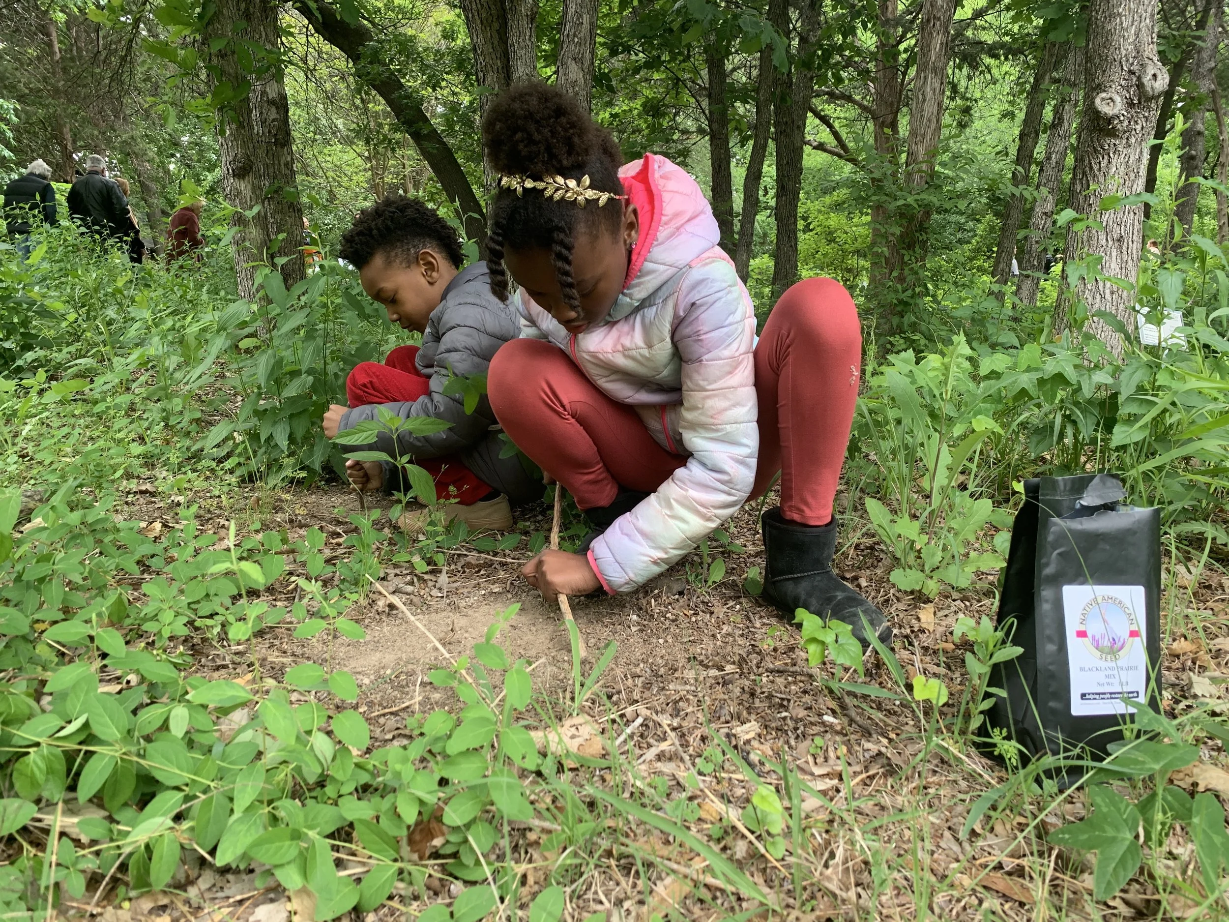 ebonyskidsseeding2.jpg