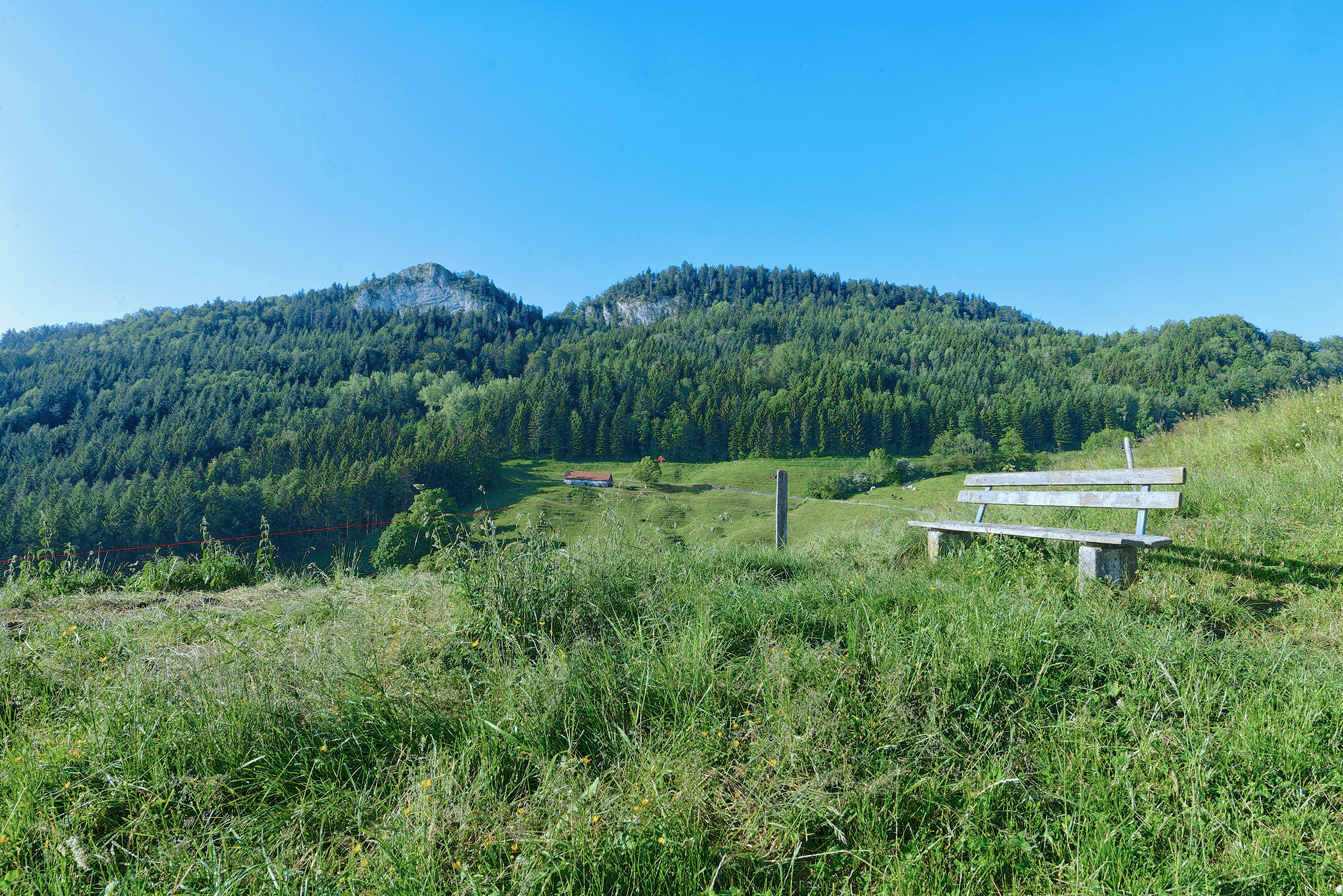 _GIL7061_DxO.webp