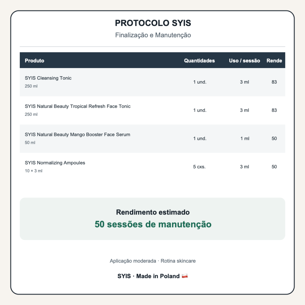 protocolo-syis-finalizacao-e-manutencao-2.png