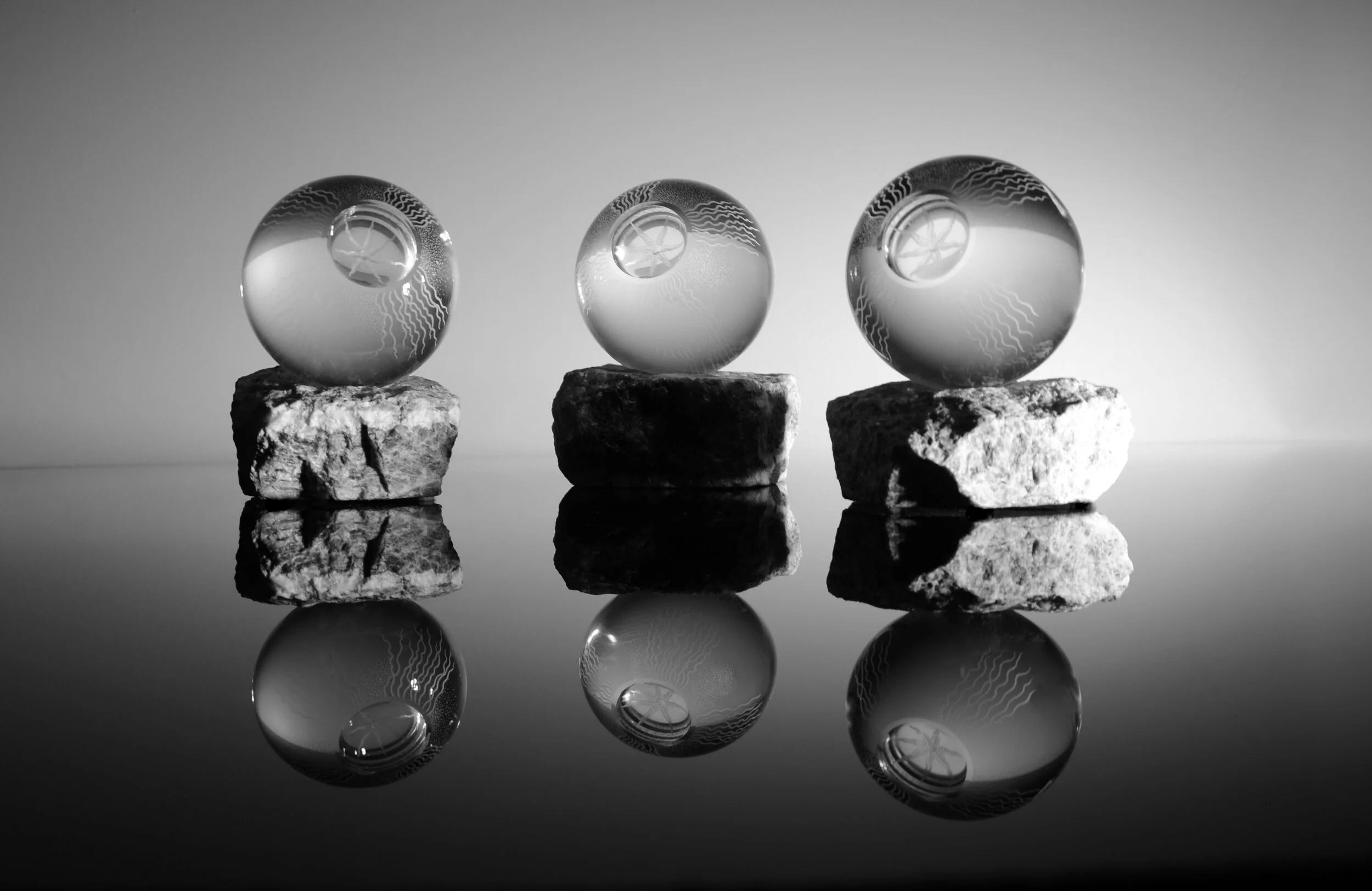EVOLUTIONARY AQUAPODS