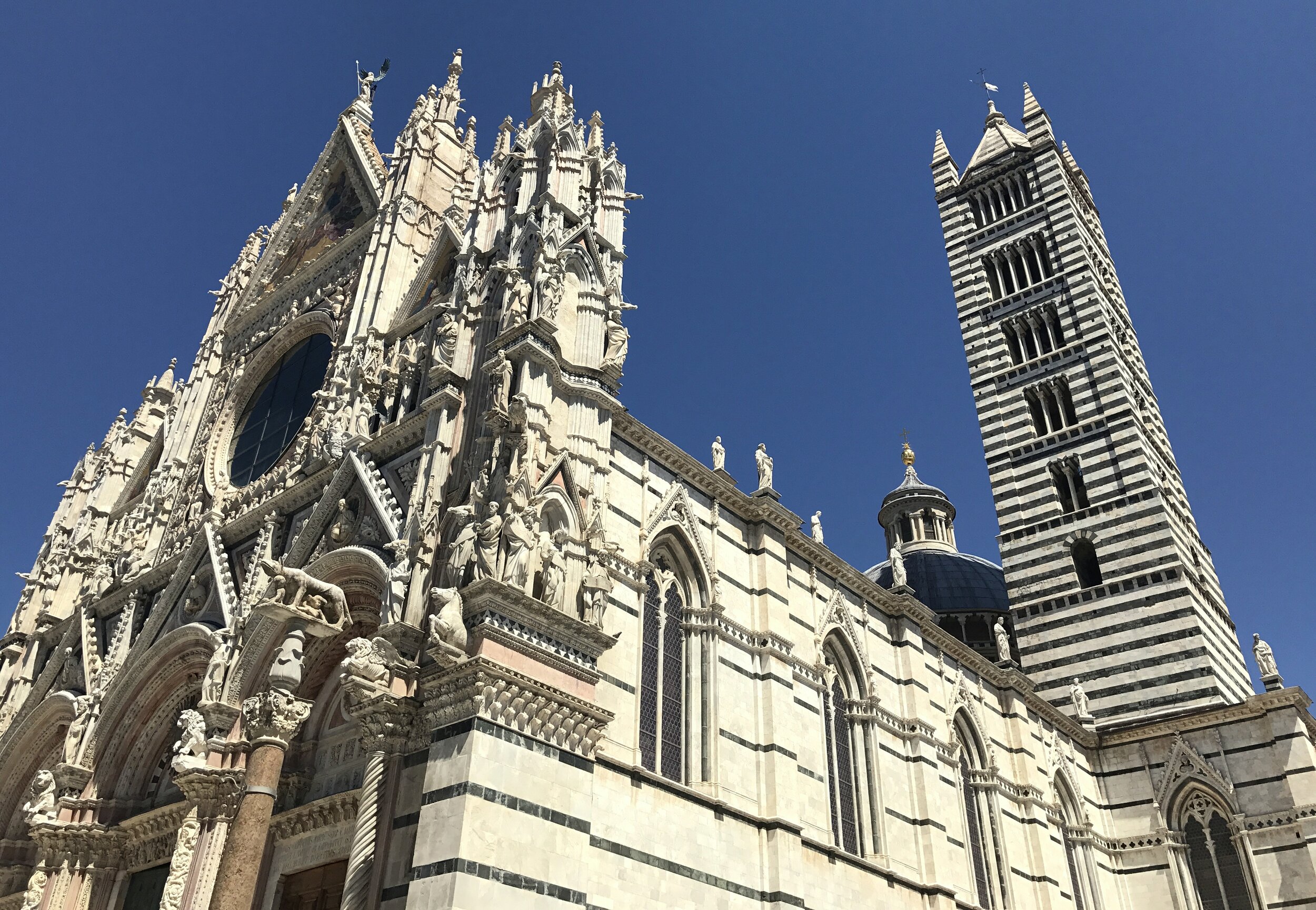 Siena Duomo, Siena