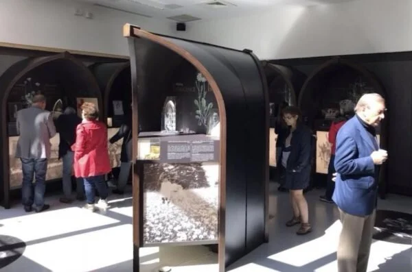 Illuminated visitors at the official opening of the WAR Flowers exhibition in Vimy, France.
