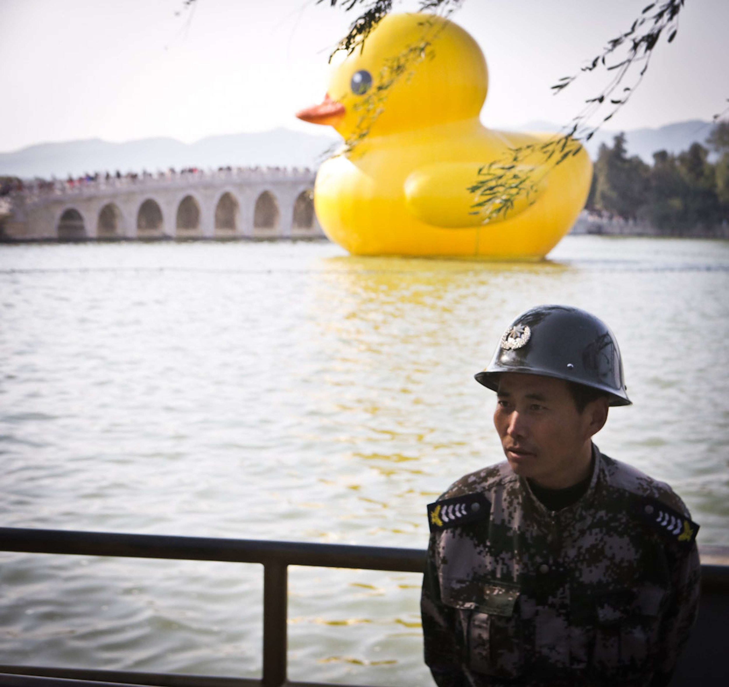 bjdw13-rubber-duck-web-res-9566.jpeg