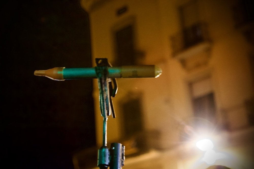 CS9A2377 Iris Mir Large.jpeg