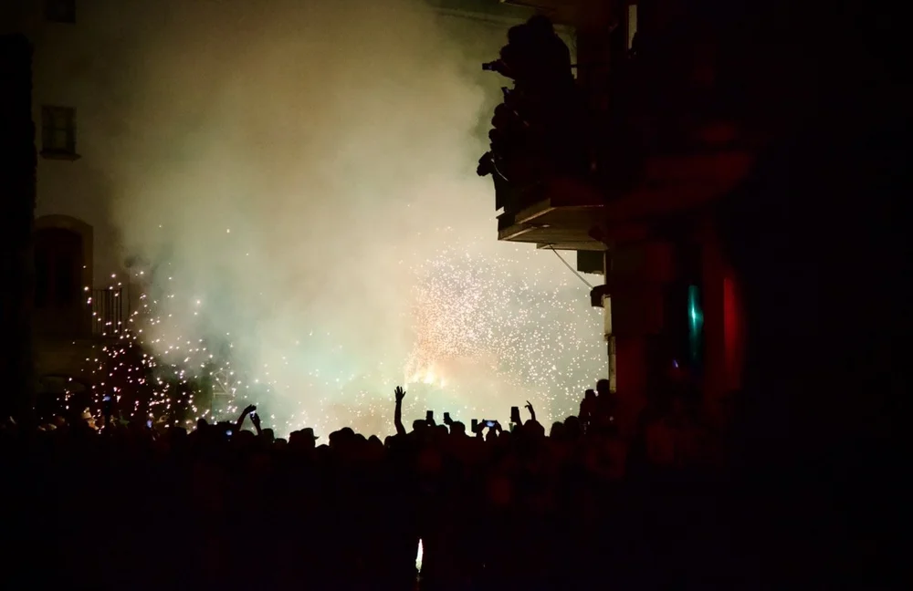 CS9A2401 Iris Mir Large.jpeg