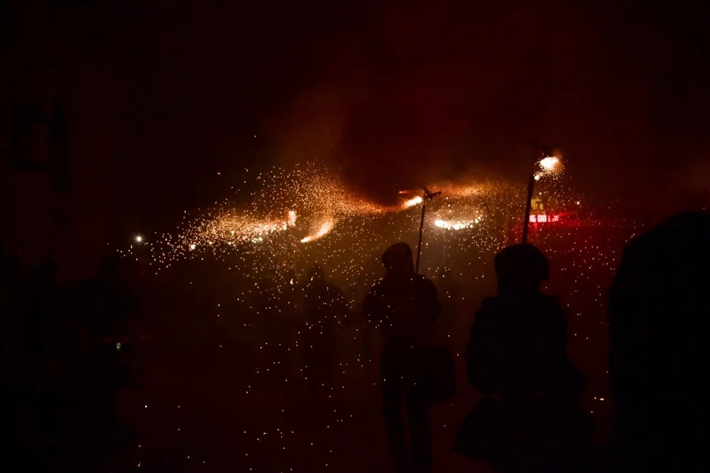 CS9A2411 Iris Mir Large.jpeg