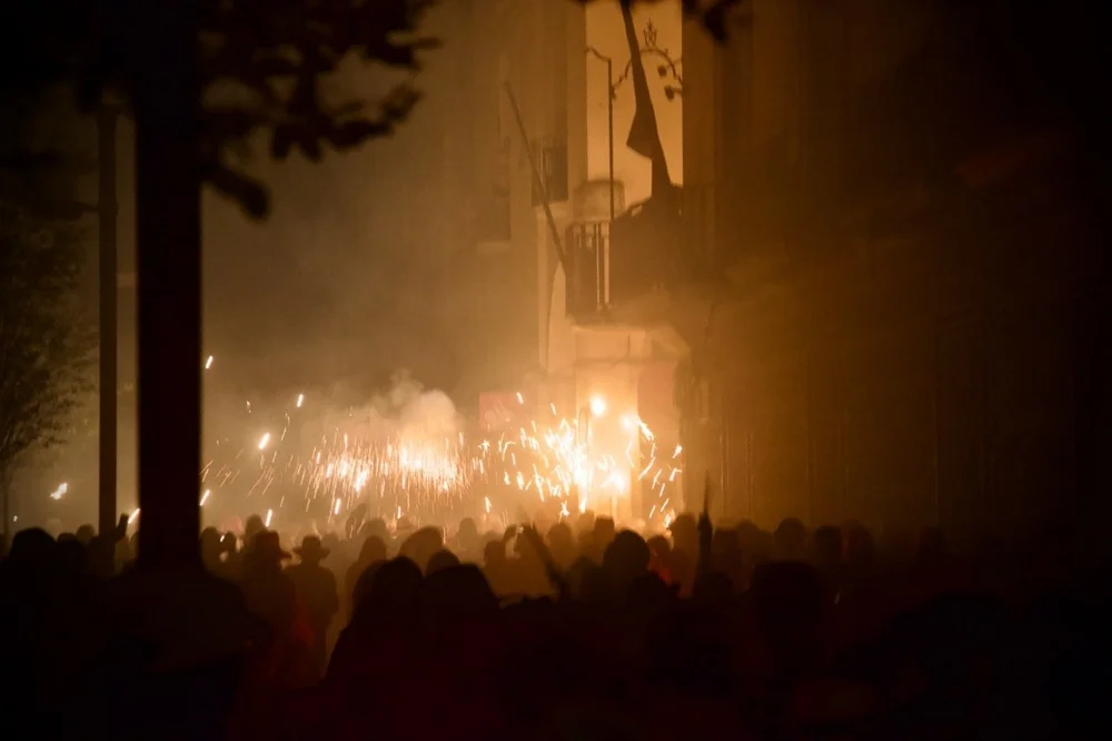 CS9A2496 Iris Mir Large.jpeg