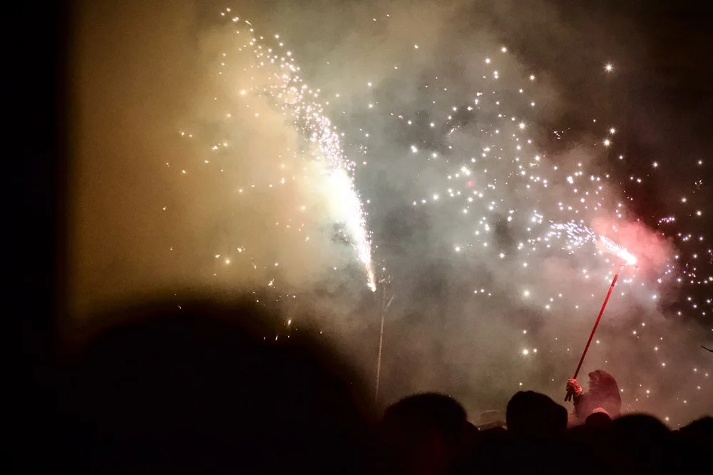 CS9A2605 Iris Mir Large.jpeg