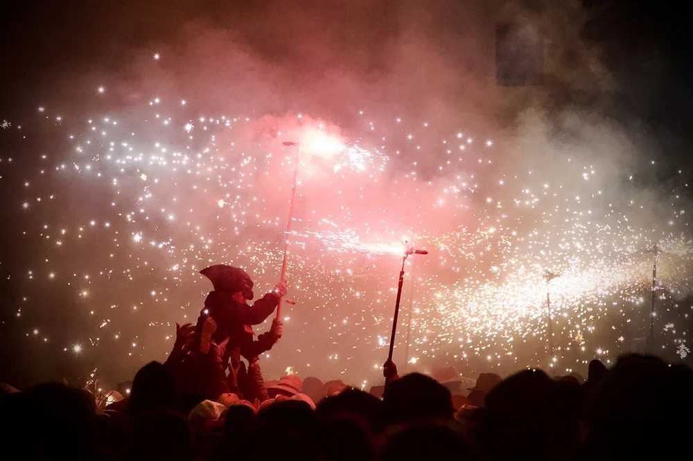 CS9A2618 Iris Mir Large.jpeg