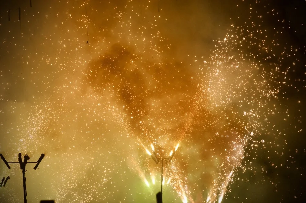 CS9A2650 Iris Mir Large.jpeg