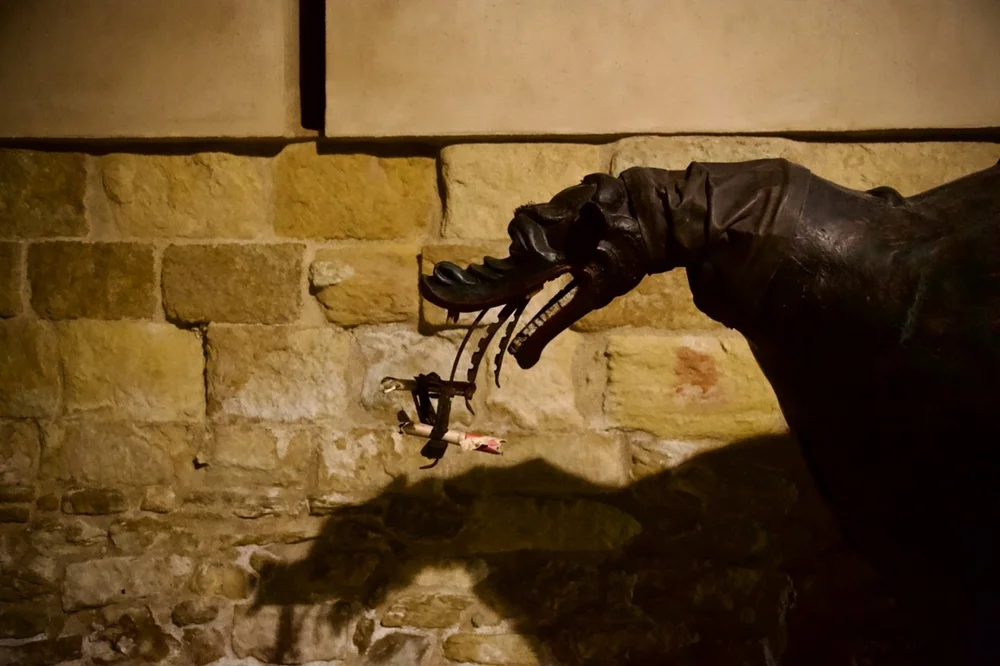 CS9A2703 Iris Mir Large.jpeg