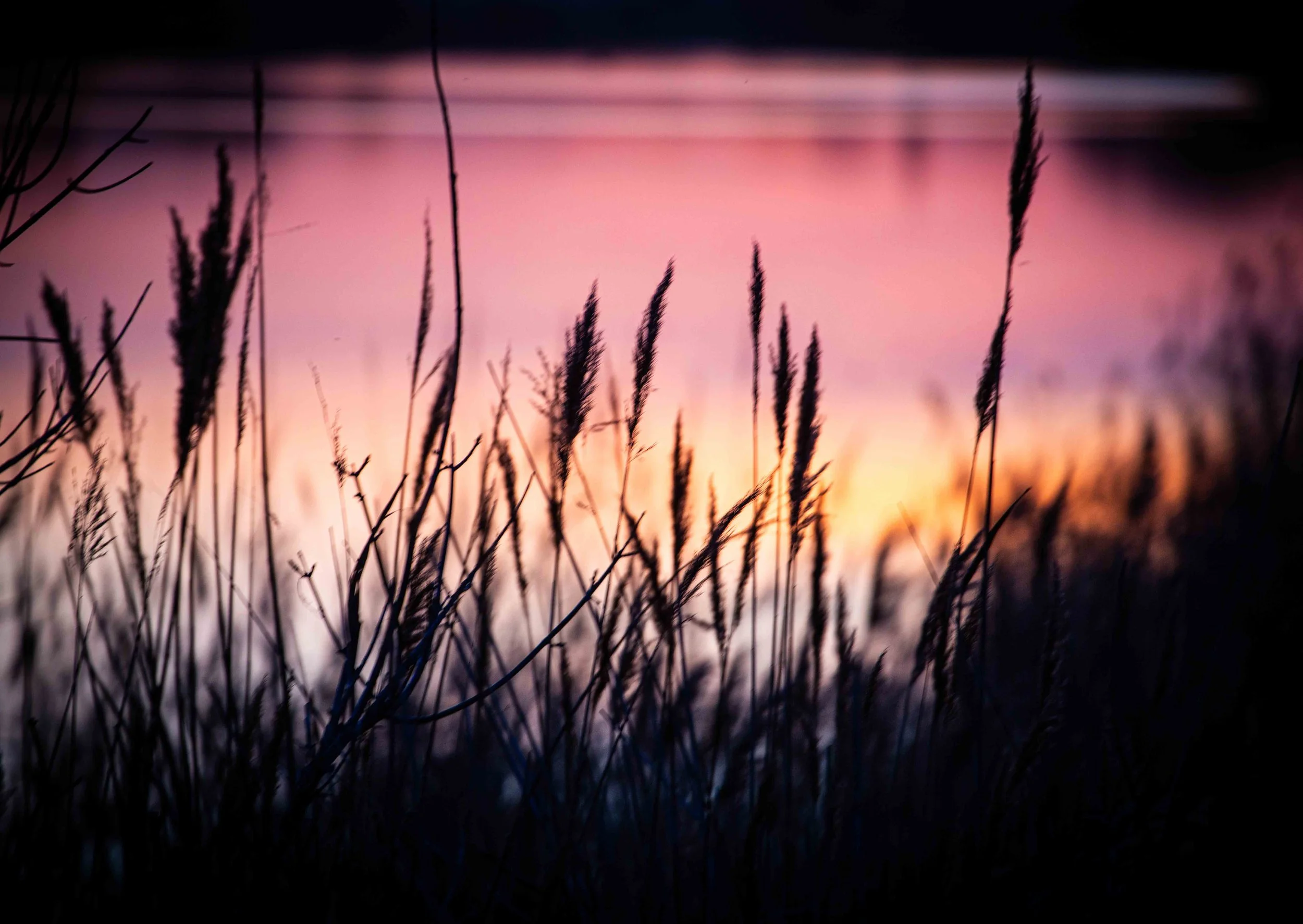 Sunset textures 2