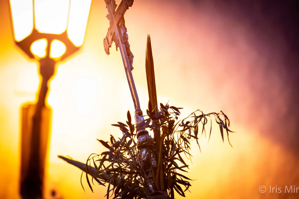 13APR25 GARACHICO PROCESION SS-9780.jpg