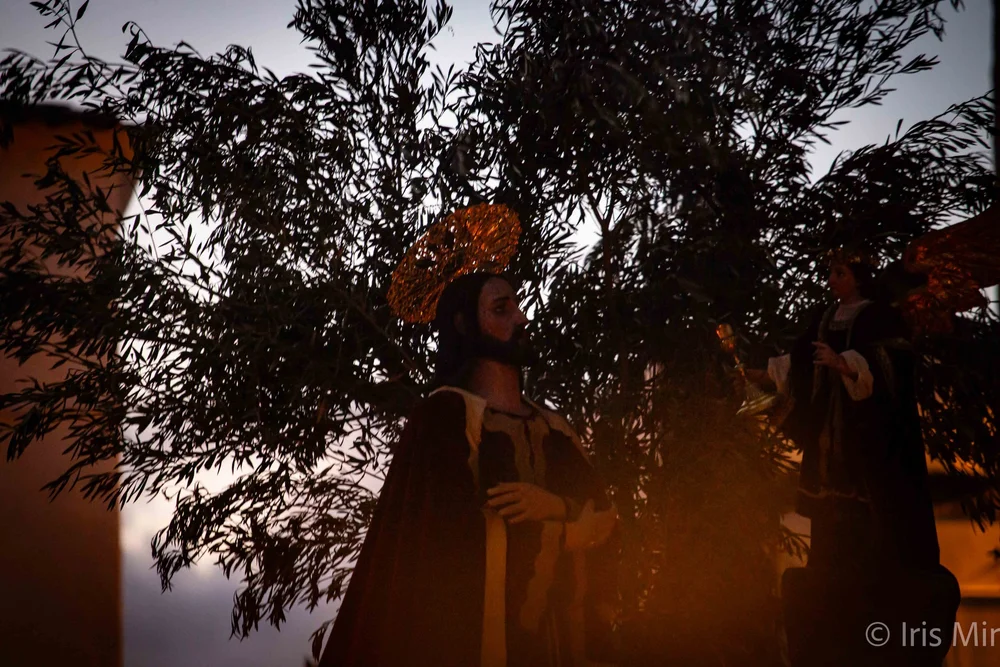 13APR25 GARACHICO PROCESION SS-9786.jpg