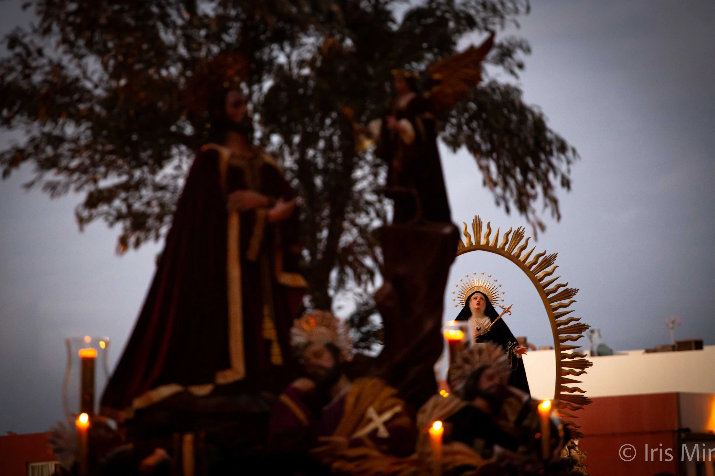 Photo Essay: Domingo de Ramos en la Pasión del Señor