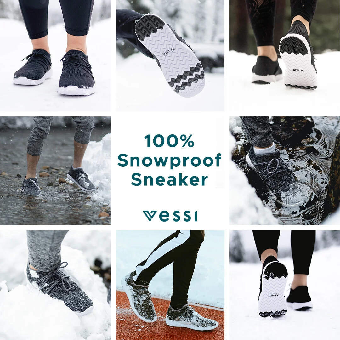 VES20001_SnowGrid_v2_FEED_SM.jpg
