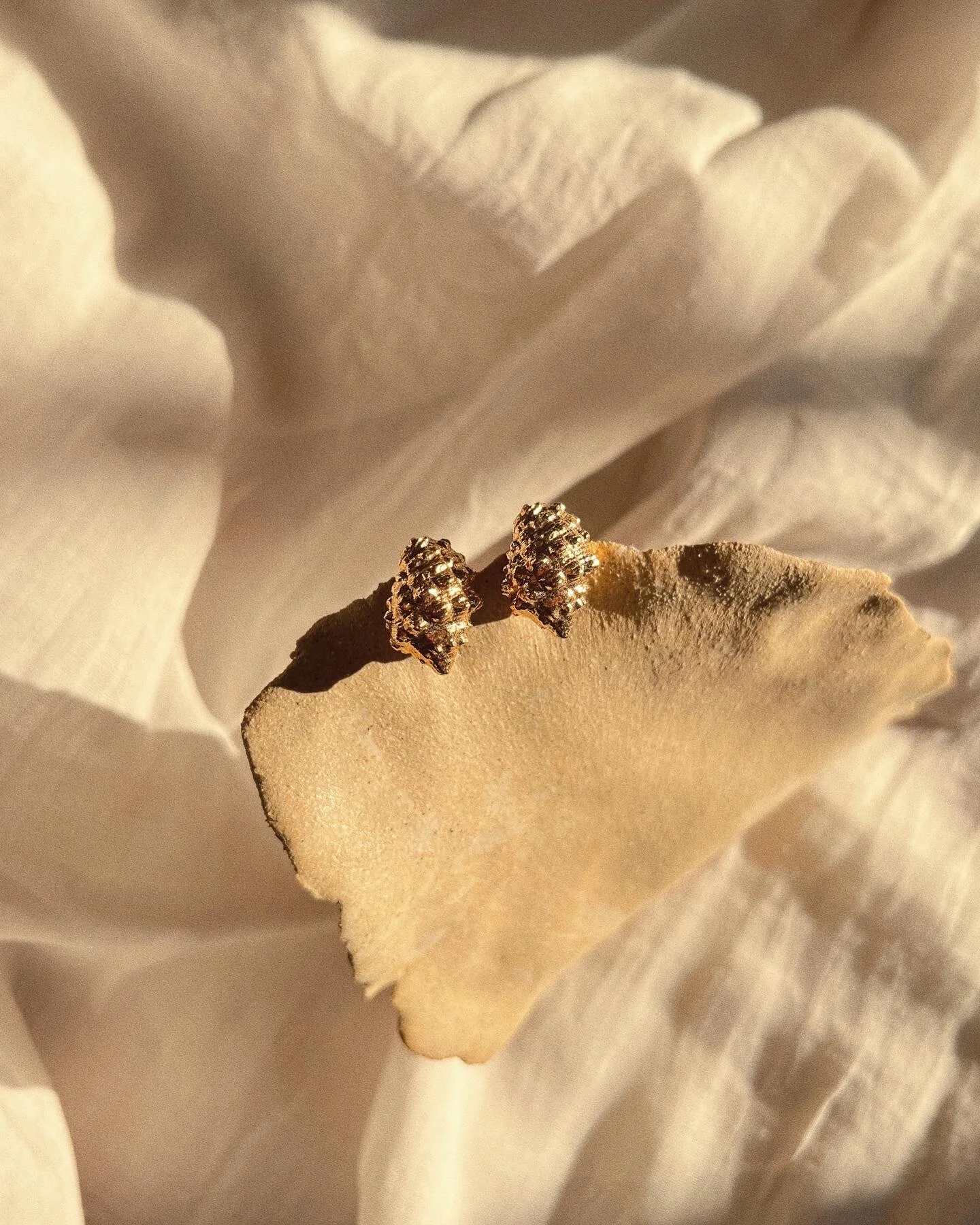 2BFC497F-67CA-4723-9FC8-2846D223B5BC