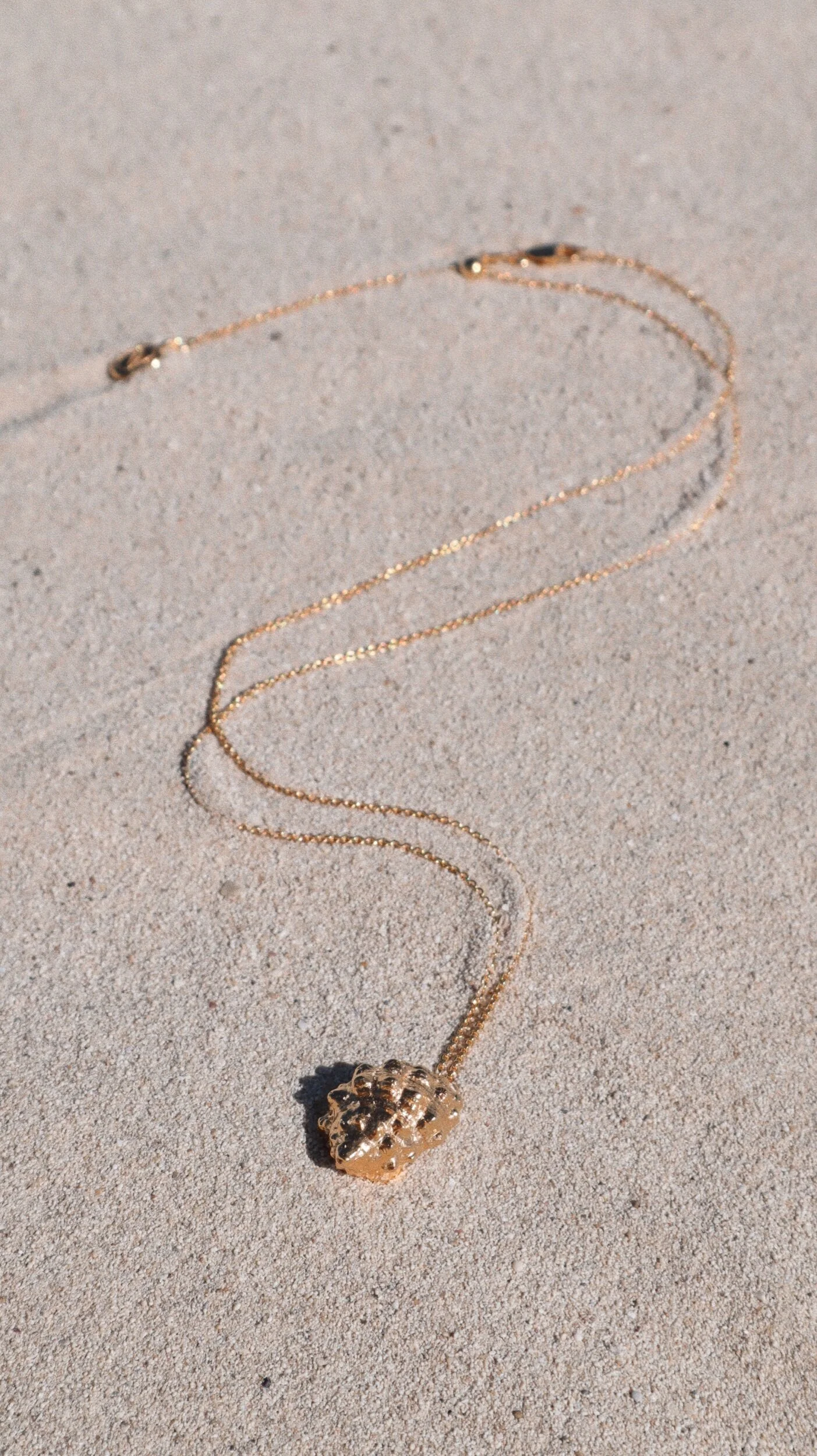 88829F1A-BFD6-4D0A-8EB3-4131B582E277