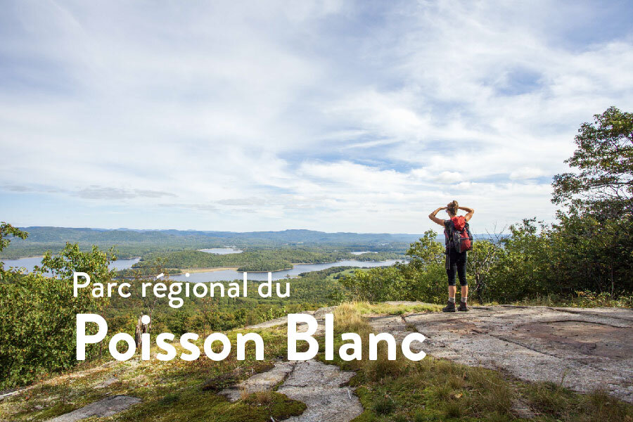 Corporation du Parc du Poisson Blanc, 2021