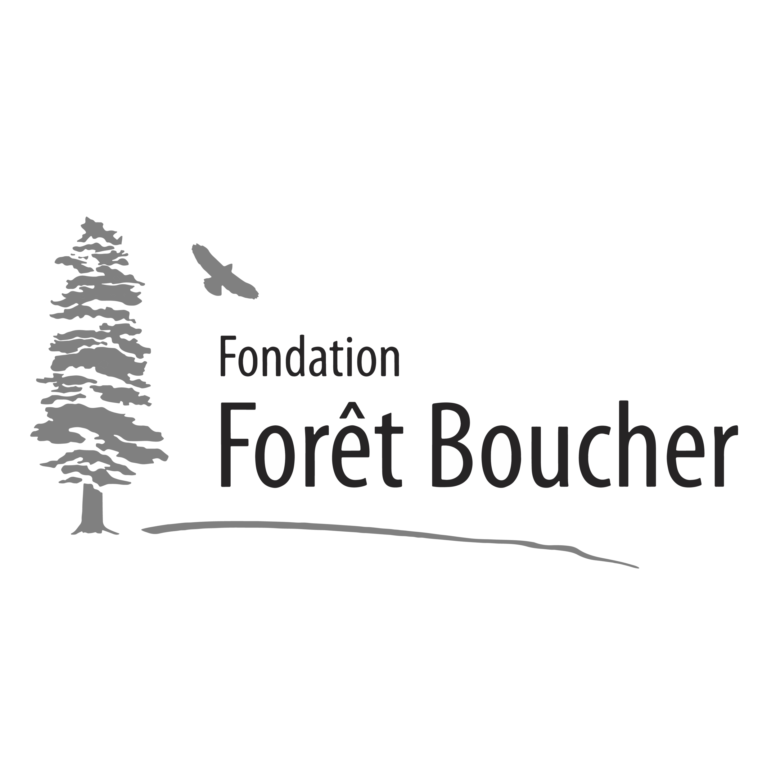 Fondation Forêt Boucher