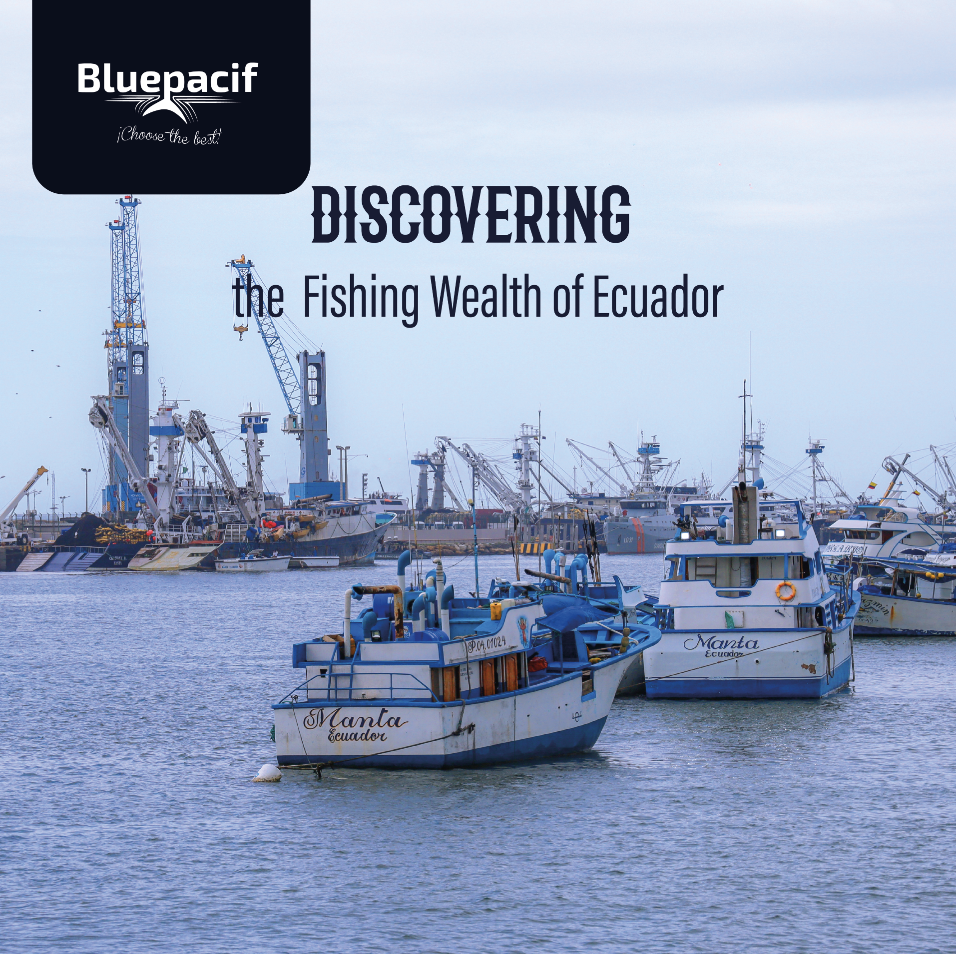 Discovering the Fishing Wealth of Ecuador