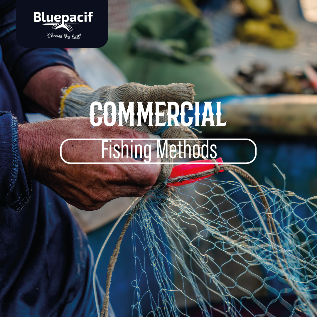 Commercial Fishing Methods
