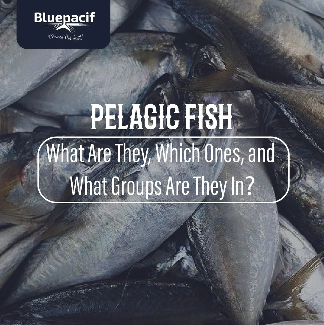 Pelagic Fish: What Are They, Which Ones, and What Groups Are They In?