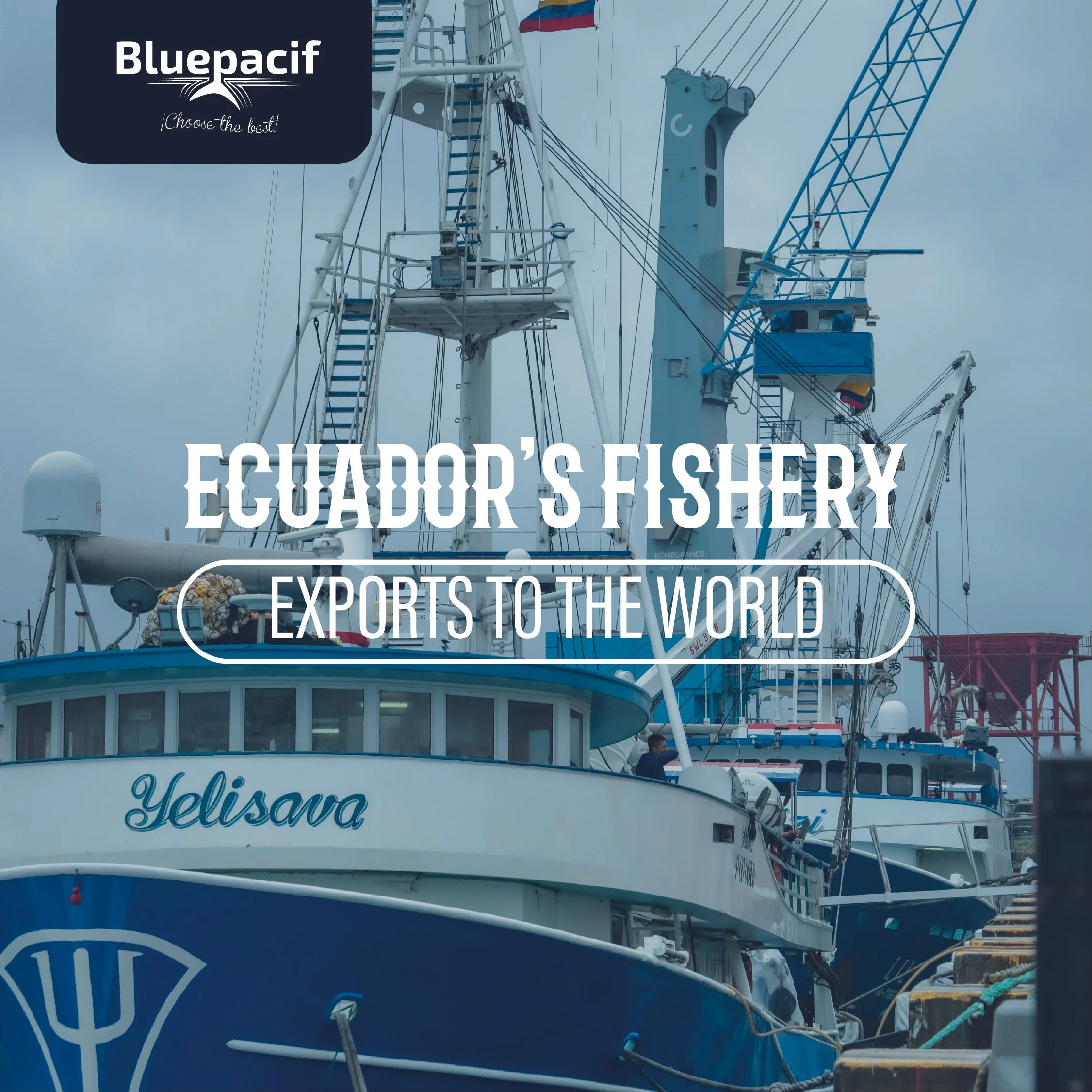 Ecuador's Fishery Exports to the World